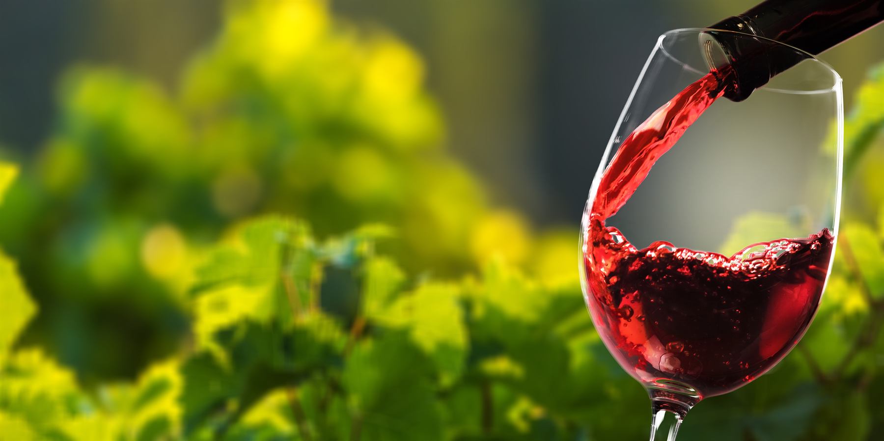 Lake Country Wine Tour
